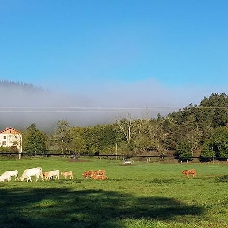 Le Riolet Bed & Breakfast Marsac-en-Livradois ภายนอก รูปภาพ