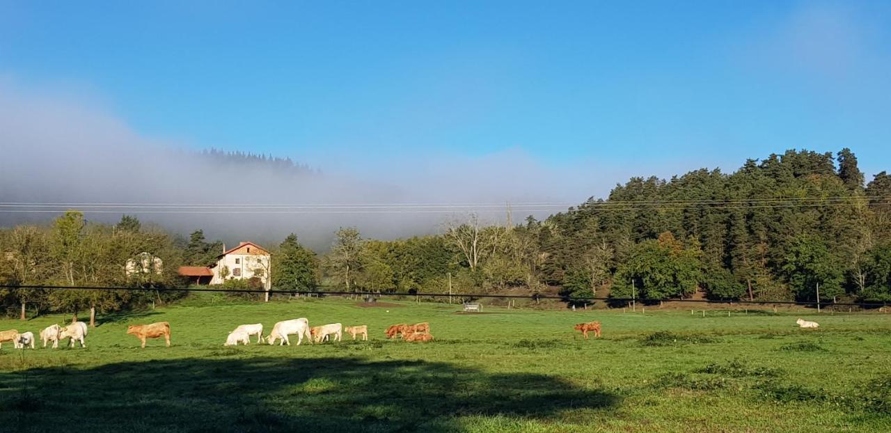 Le Riolet Bed & Breakfast Marsac-en-Livradois ภายนอก รูปภาพ